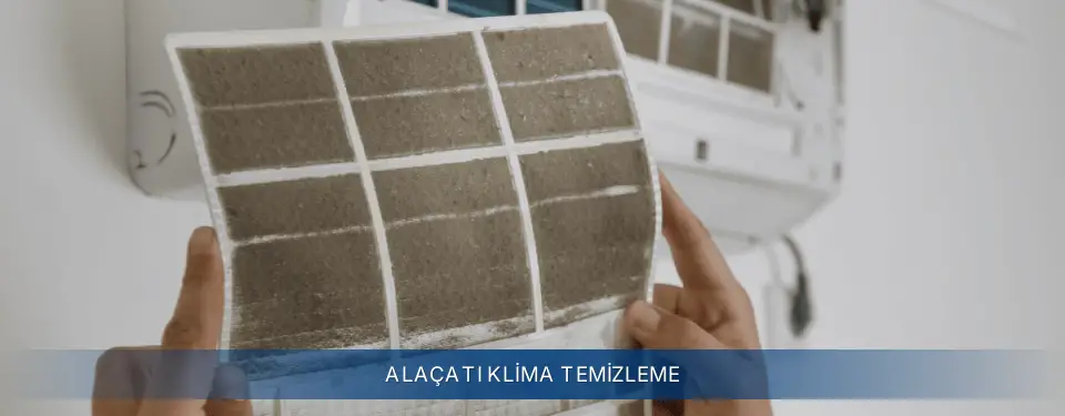 Alaçatı İlçemi Electrolux Klima Temizleme